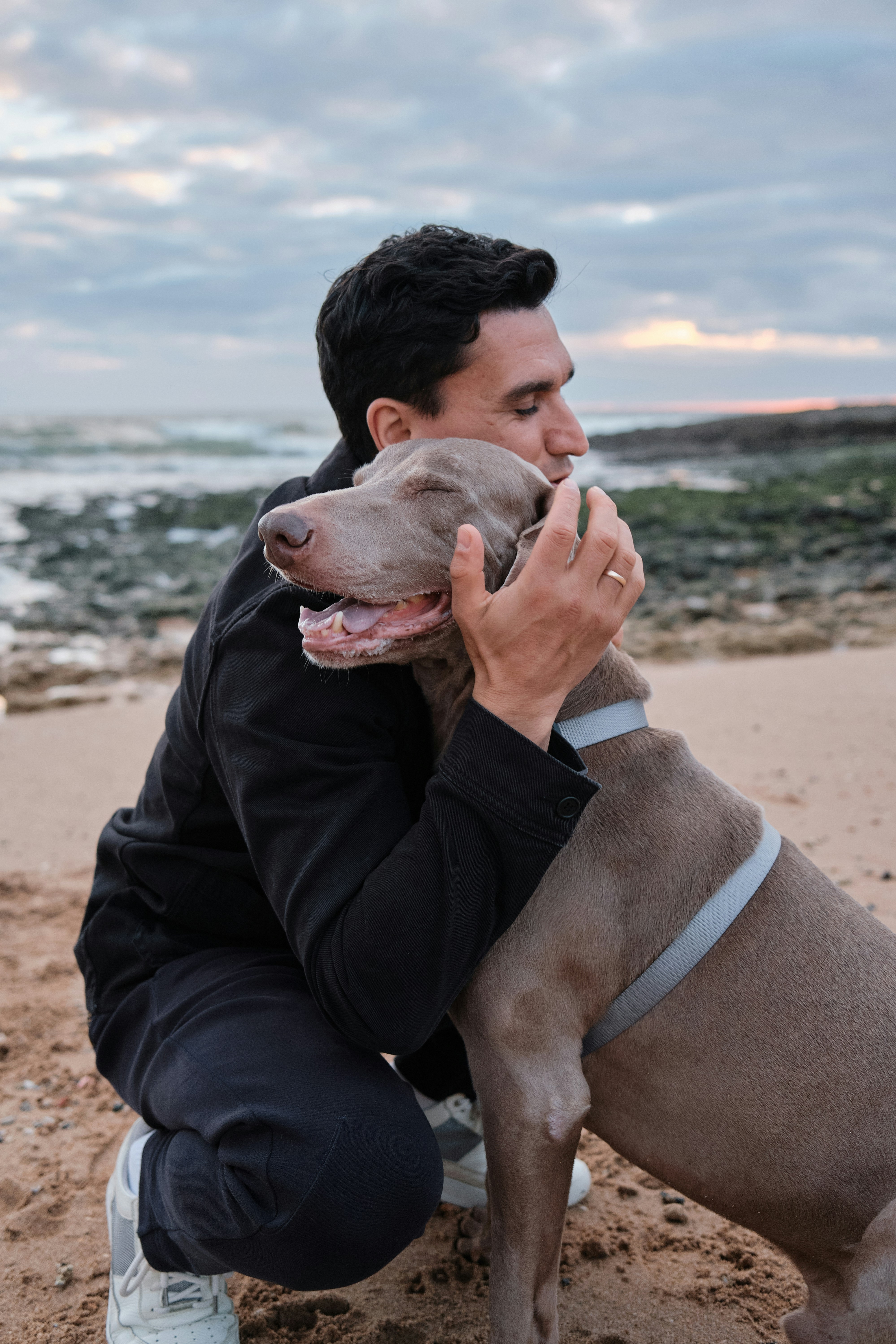 A man hugging his weimaraner on a beach